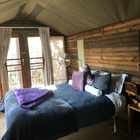 Teniqua Treetops Karatara Settlement Екстер'єр фото