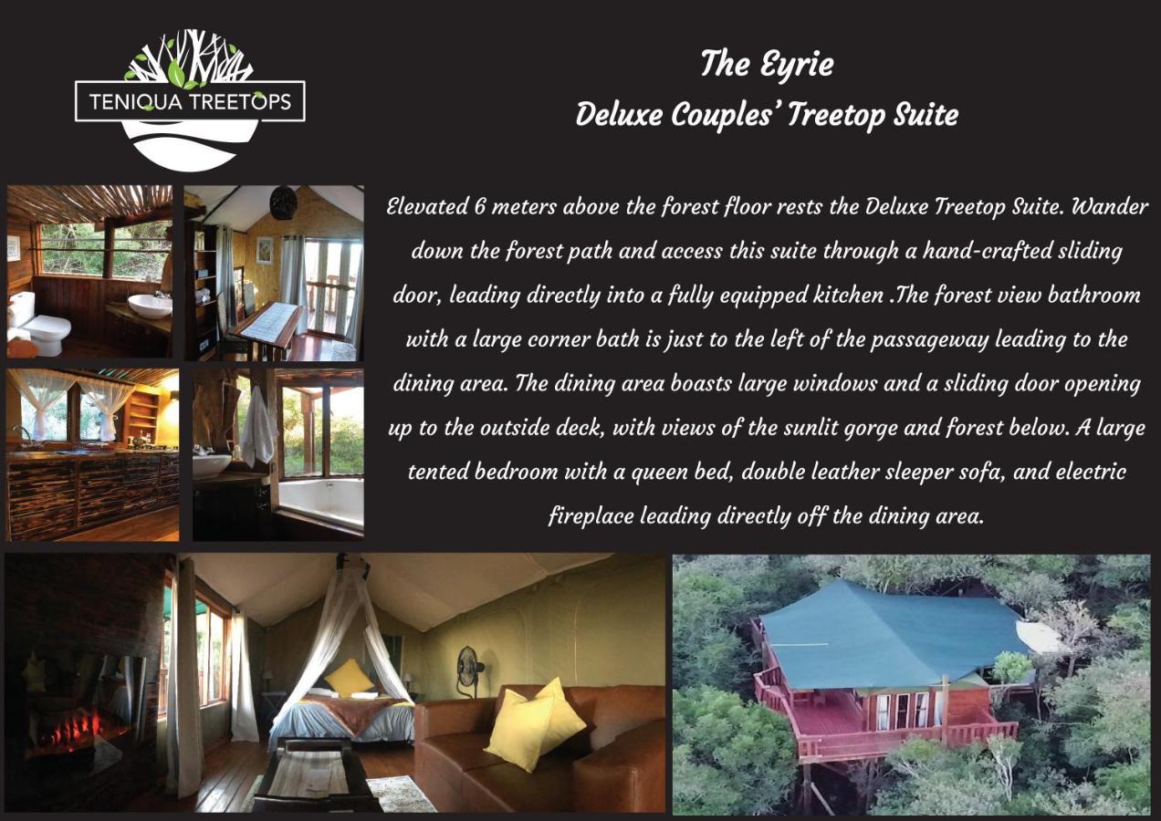 Teniqua Treetops Karatara Settlement Екстер'єр фото