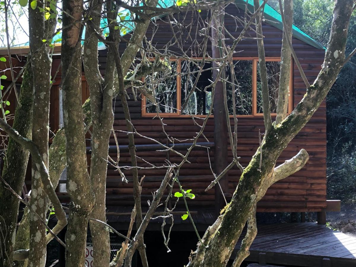 Teniqua Treetops Karatara Settlement Екстер'єр фото