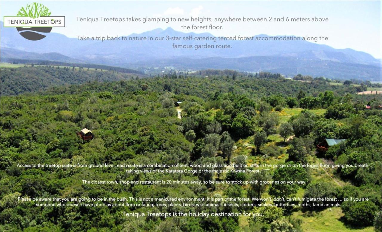 Teniqua Treetops Karatara Settlement Екстер'єр фото