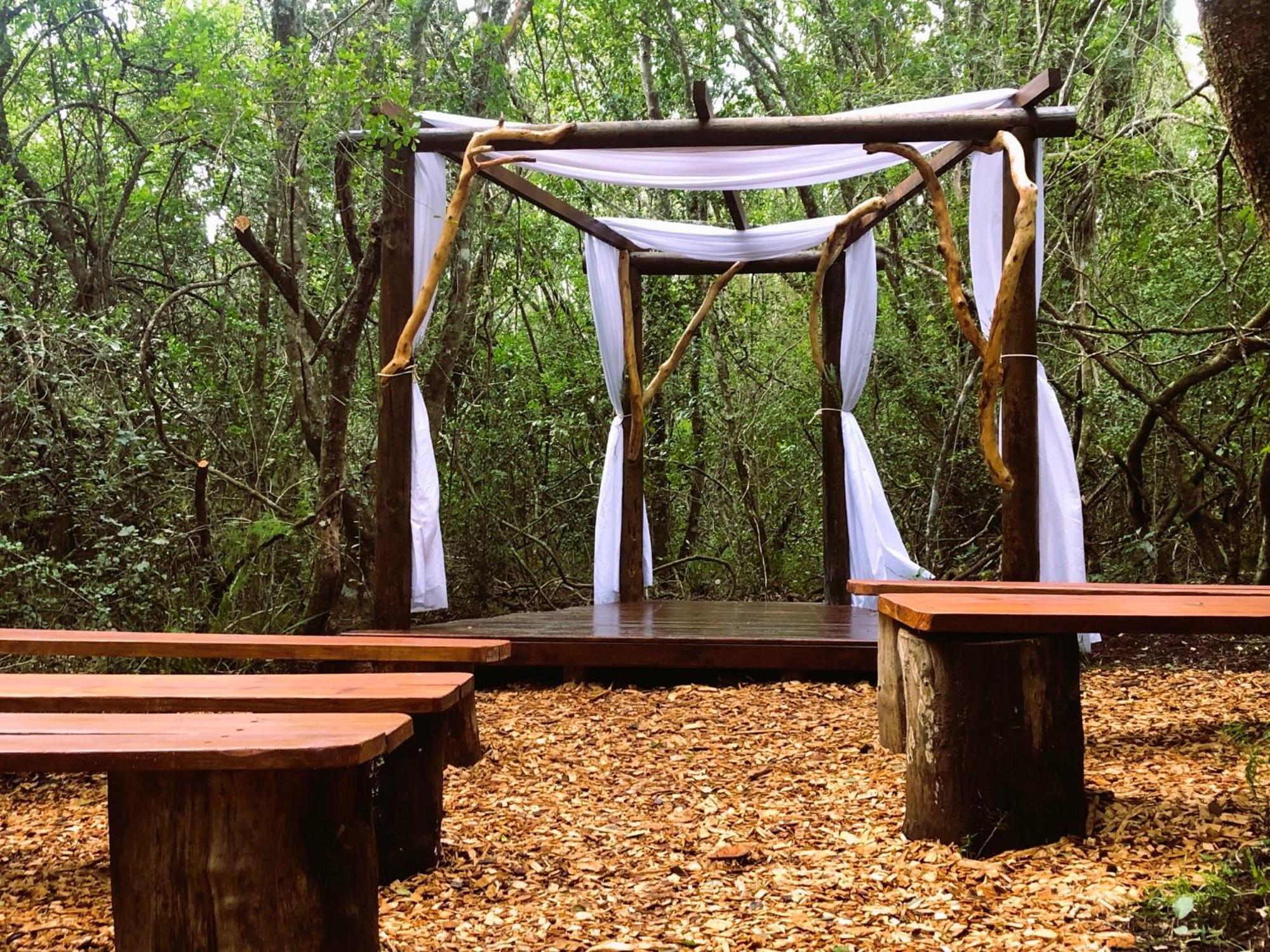 Teniqua Treetops Karatara Settlement Екстер'єр фото