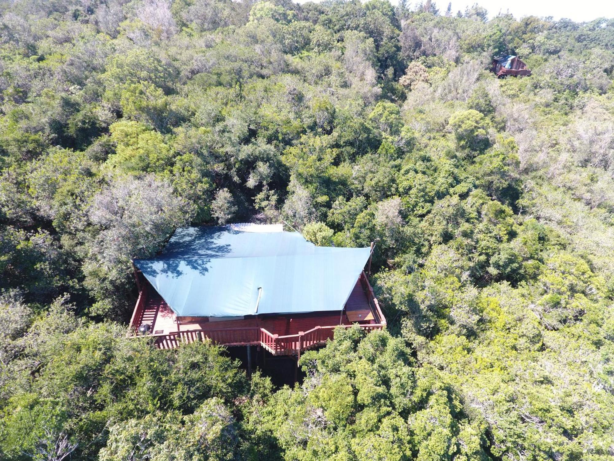 Teniqua Treetops Karatara Settlement Екстер'єр фото