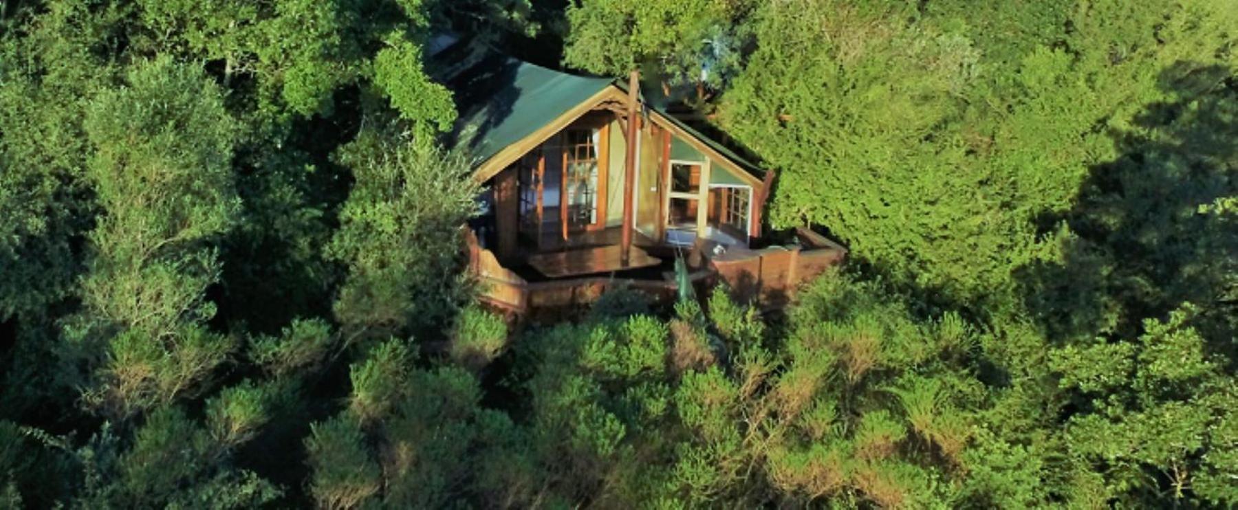 Teniqua Treetops Karatara Settlement Екстер'єр фото