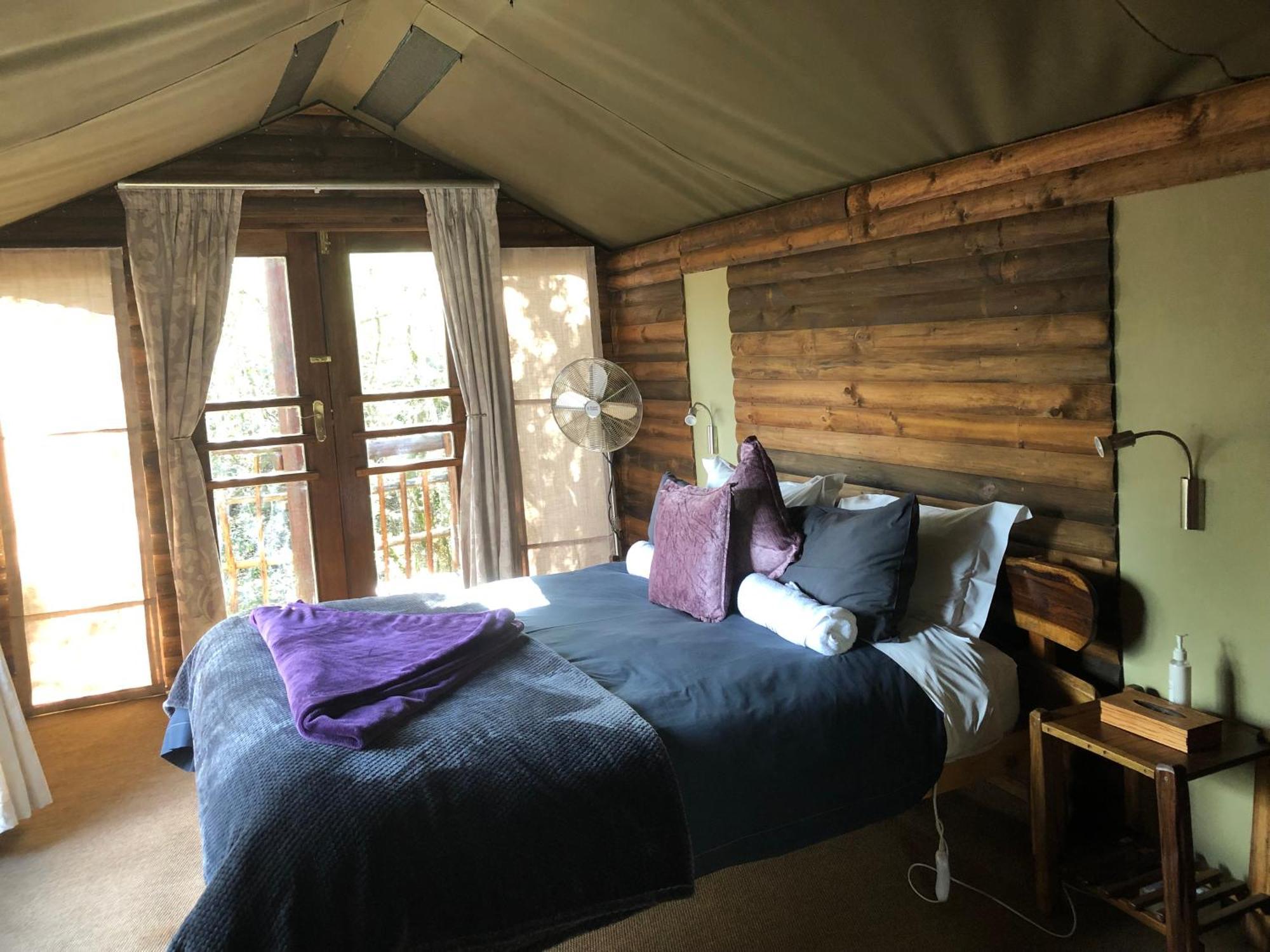 Teniqua Treetops Karatara Settlement Екстер'єр фото