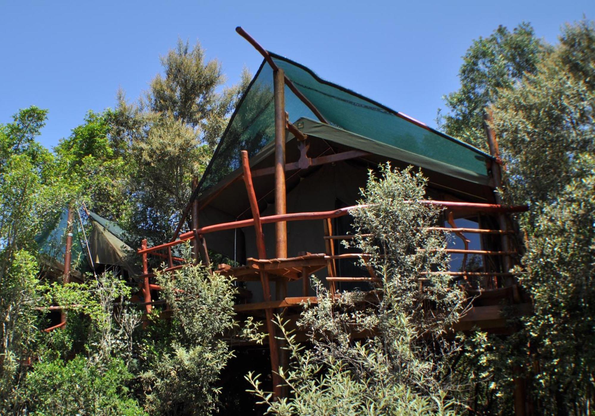 Teniqua Treetops Karatara Settlement Екстер'єр фото