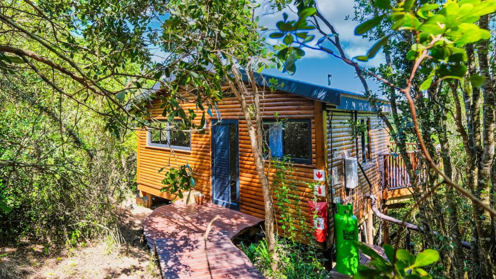 Teniqua Treetops Karatara Settlement Номер фото