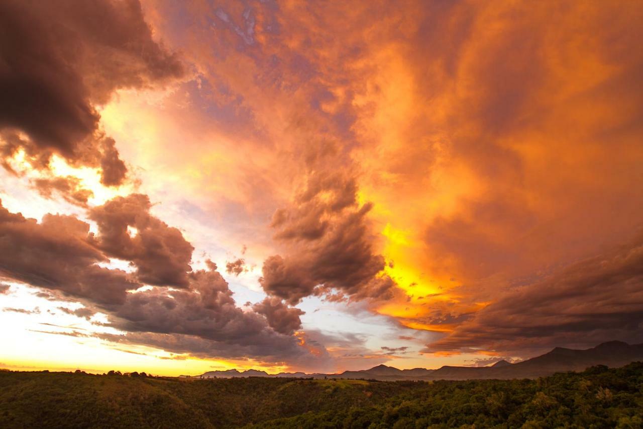 Teniqua Treetops Karatara Settlement Екстер'єр фото