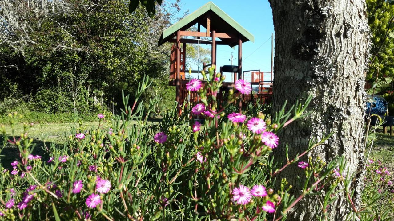 Teniqua Treetops Karatara Settlement Екстер'єр фото